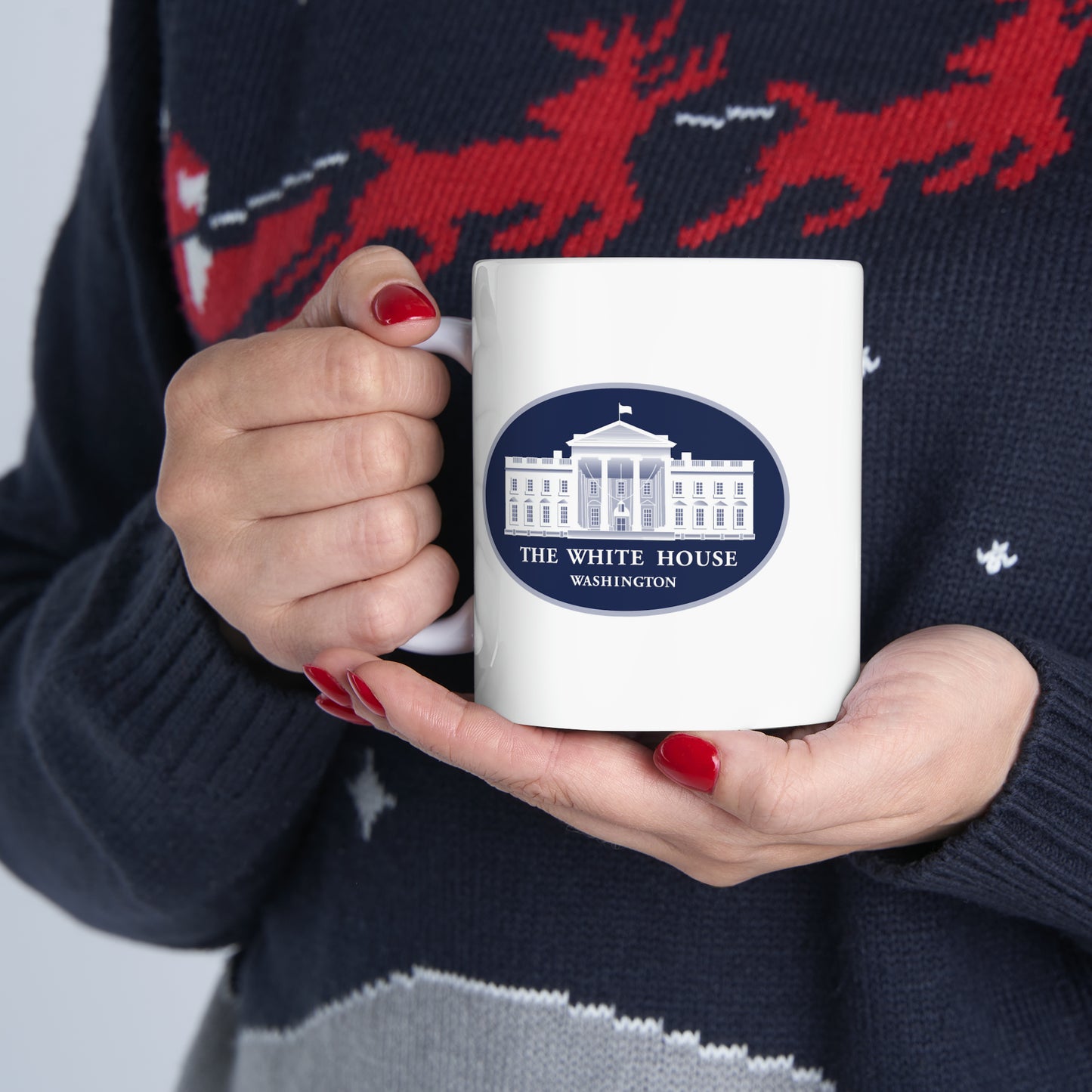 The White House Coffee Mug - Double Sided White Ceramic 11oz by TheGlassyLass.com