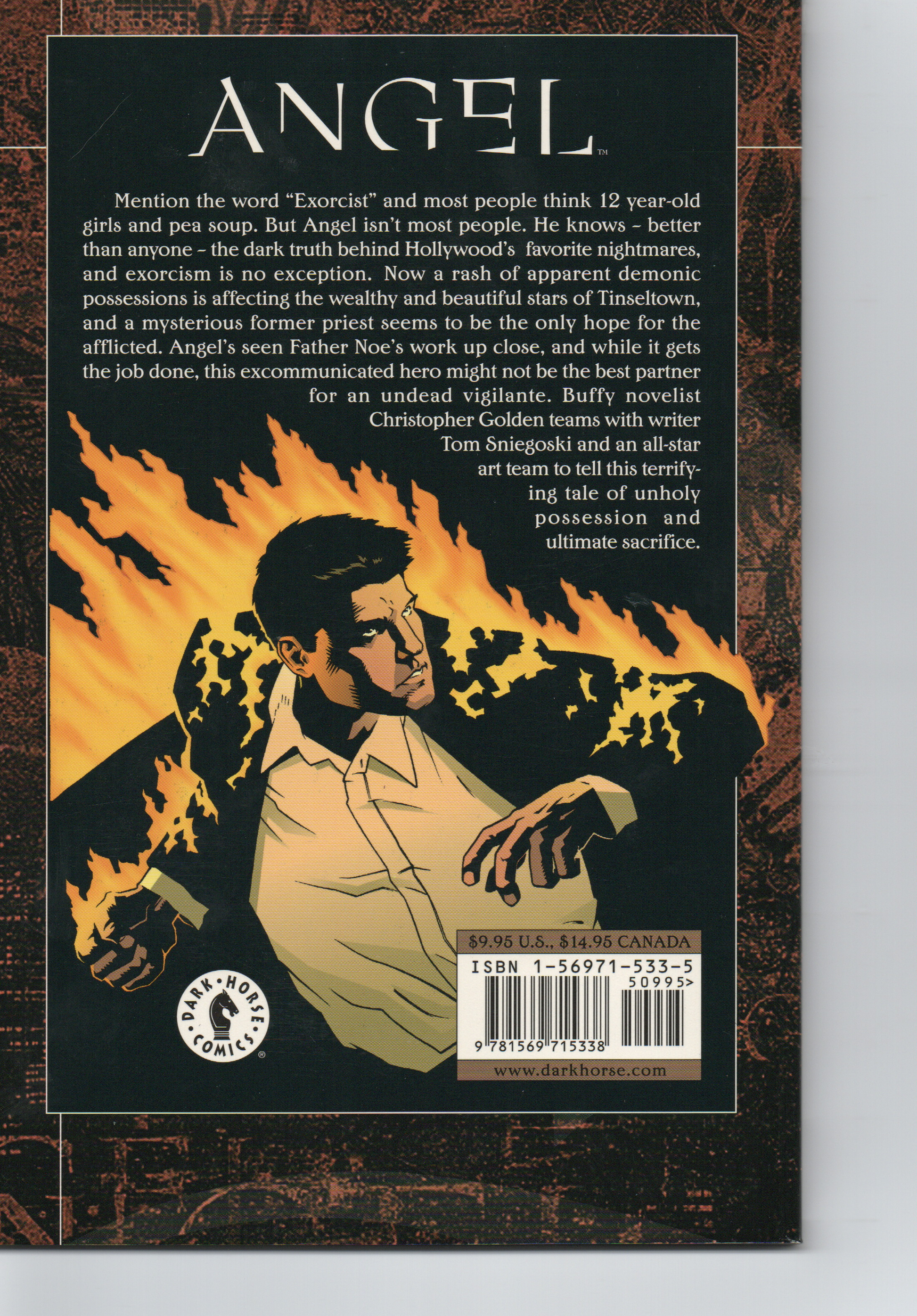 Angel Earthly Possessions Trade Paperback by Dark Horse Comics at TheGlassyLass.com