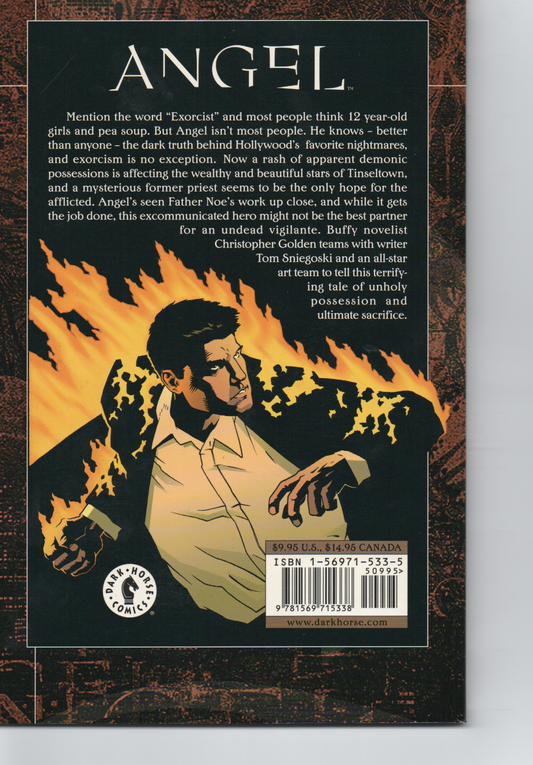 Angel Earthly Possessions Trade Paperback by Dark Horse Comics at TheGlassyLass.com