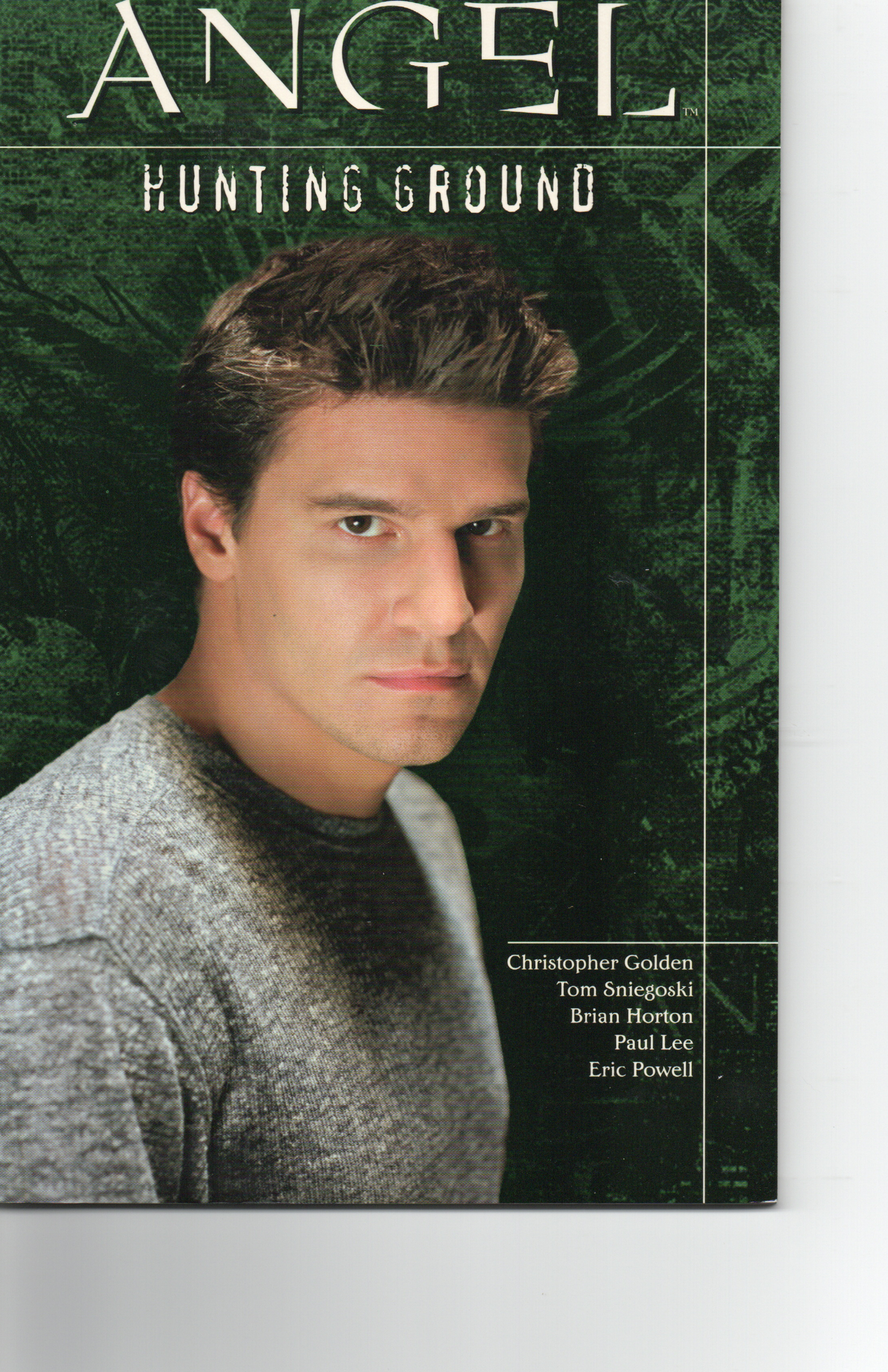 Angel Hunting Ground Trade Paperback by Dark Horse Comics at TheGlassyLass.com
