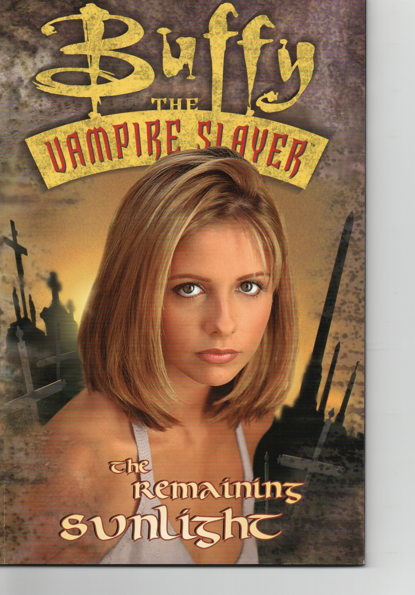 Buffy The Vampire Slayer Remaining Sunlight Trade Paperback by Dark Horse Comics at TheGlassyLass.com