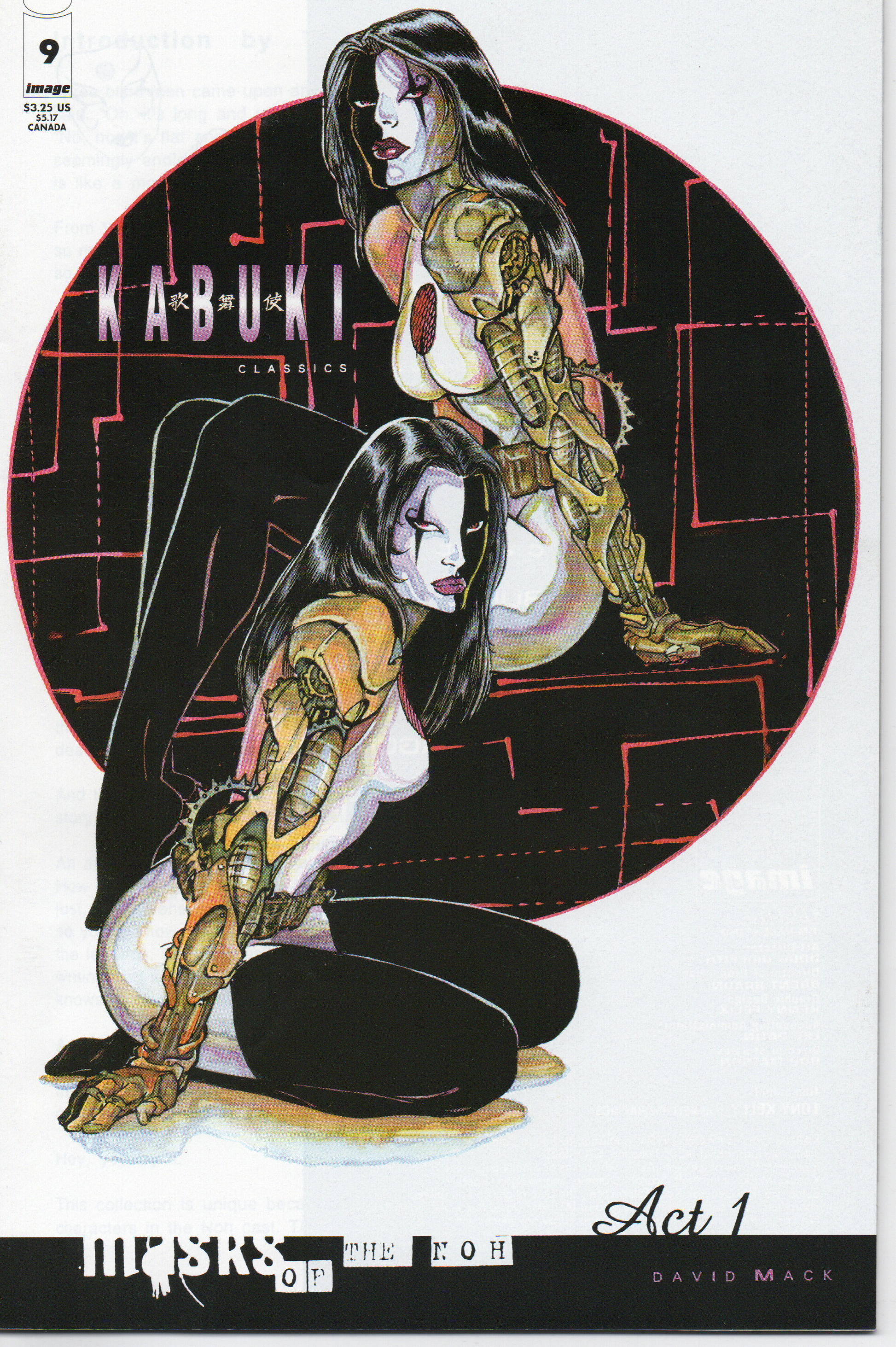 Kabuki Classics #9 (Variant Cover) Comic Book by David Mack From TheGlassyLass.com - Front Cover