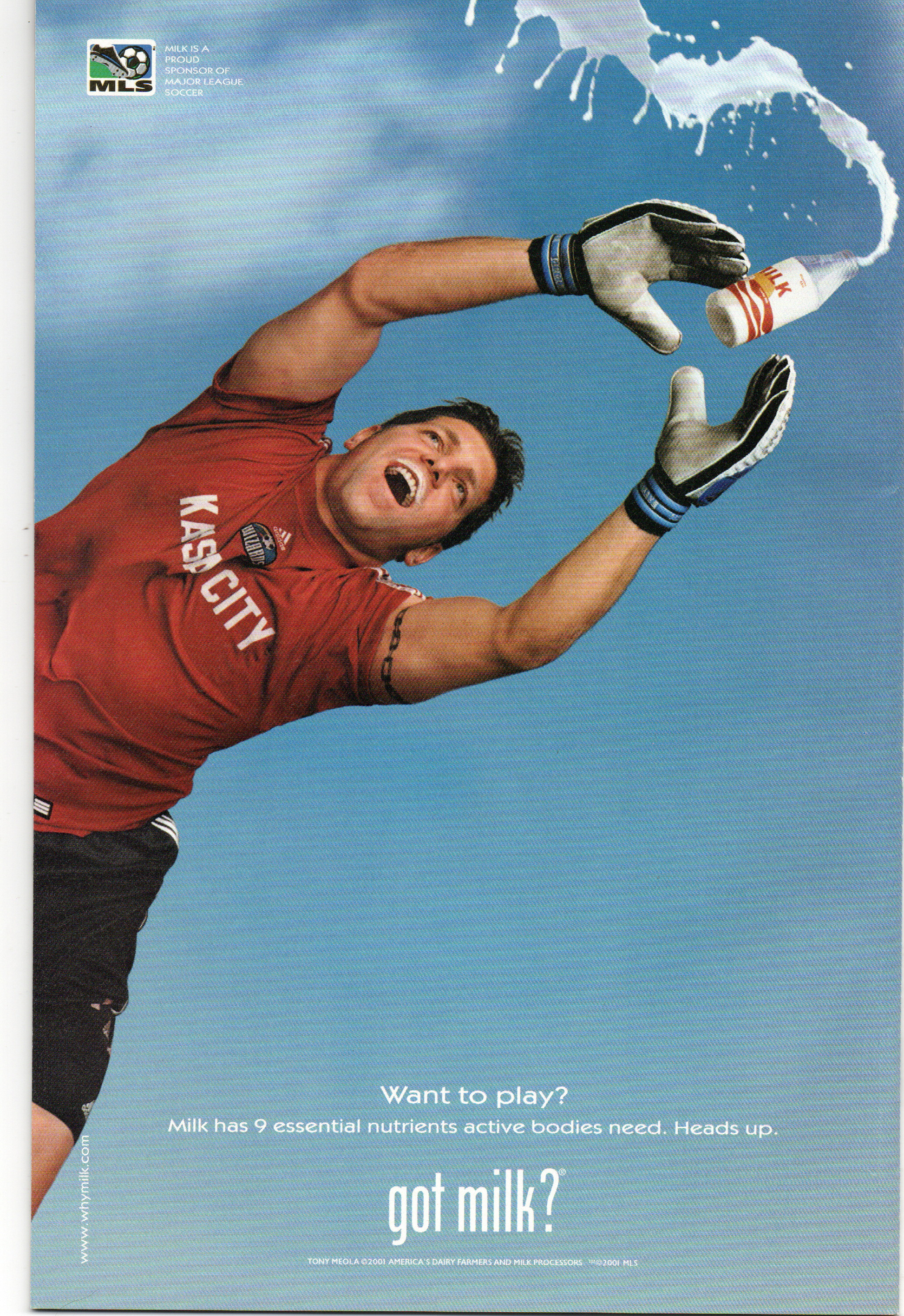 Rogue #1 Comic Book From TheGlassyLass.com - Back Cover